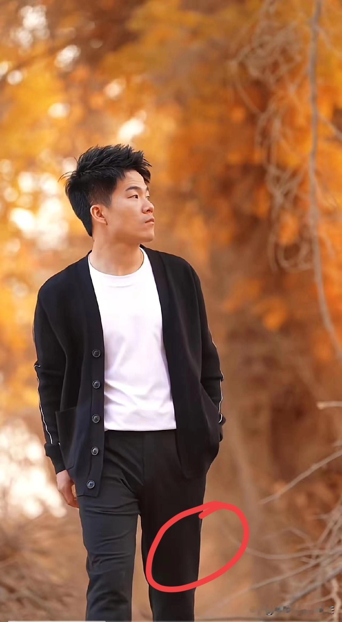 董宇辉报的新疆5亿销售额，又被人揪着说“造假”了？有人拿平台4.13亿的数据说事