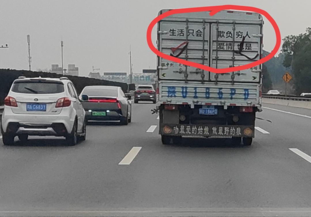 看来大哥是个有故事的人生活只会欺负穷人爱情也是……