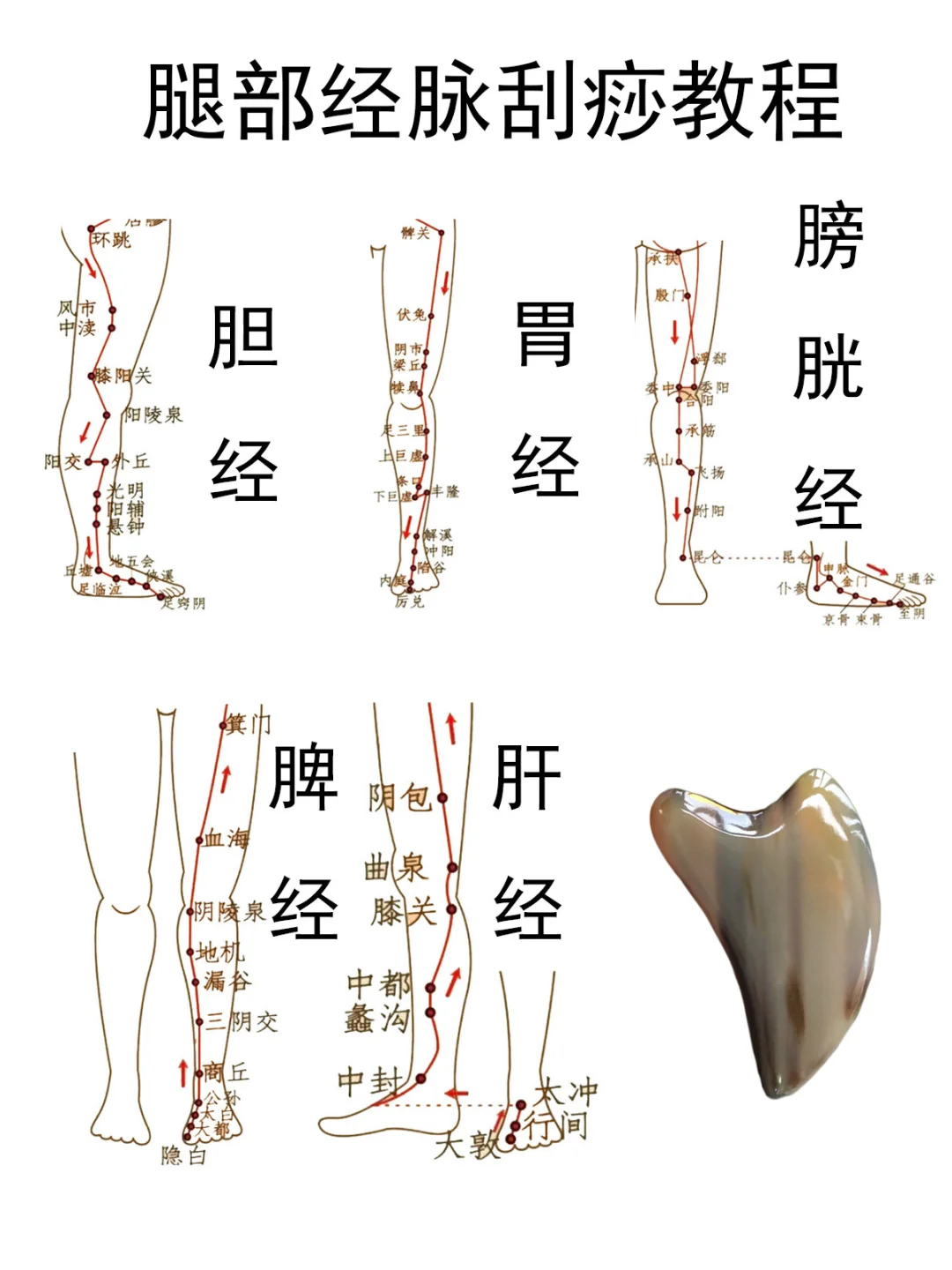 疏通腿部5经络教程，1次5分钟，通经活络
