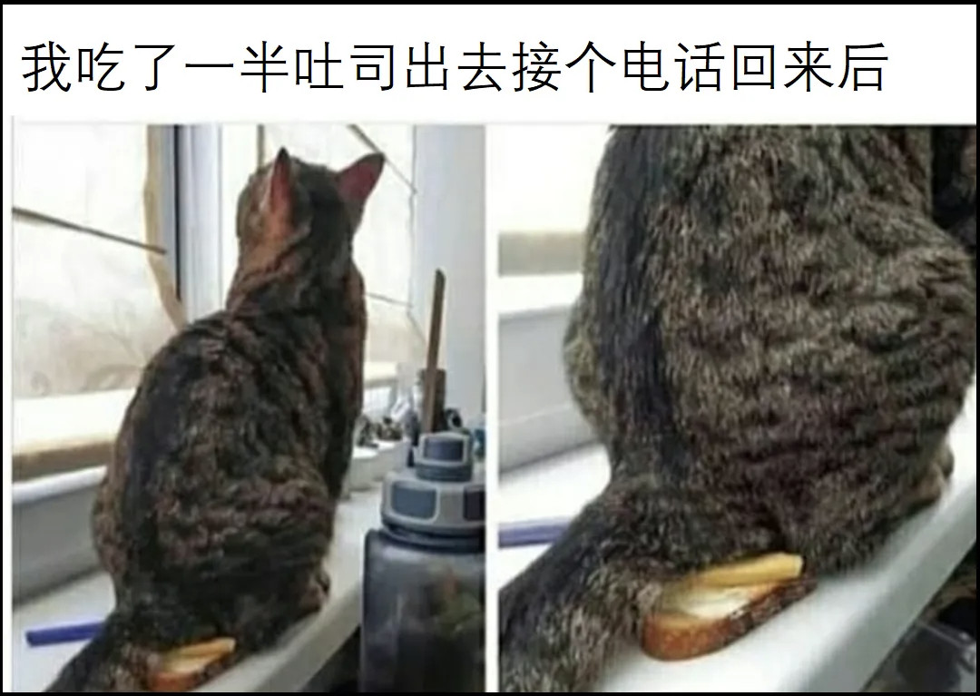 给你的生活来点巧克力meme​​​