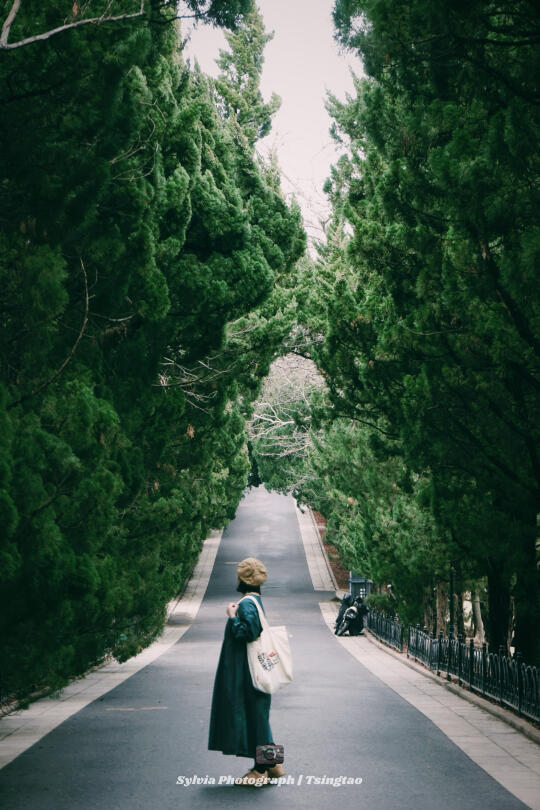 阴天的青岛，不知道去哪就去八大关和二浴📸