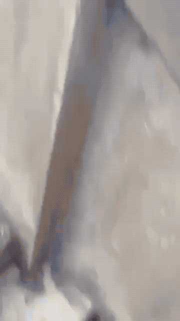 澳大利亚枪击案气疯白人：对着嫌疑犯就乱踹，或引发大规模宗教仇杀！14日在澳大利亚