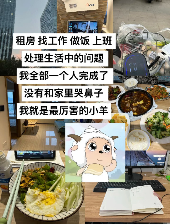 奇思妙想聪明的小羊我才不是小牛马，我是奇思妙想最聪明的小羊！​​​