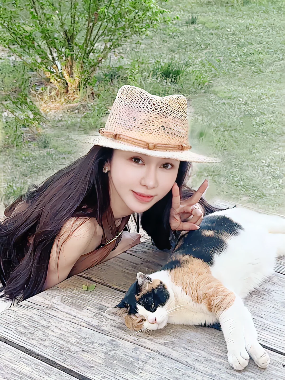 偶遇一只小猫🐈