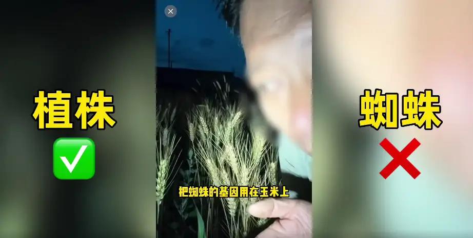 “没文化真可怕！”一男子账号有200多万粉丝，他打着保护“老种子”旗号，摸黑“水