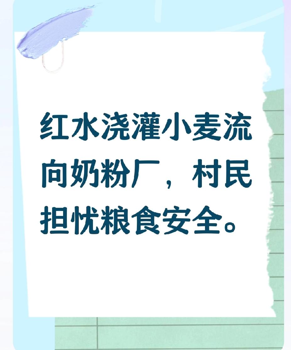 红水浇灌的小麦流向何方？村民不敢吃却销往市场引担忧。近日，河北省保定市蠡县蠡吾