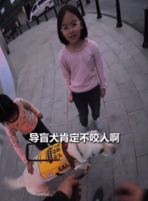 “这个小孩姐火到人民日报了！”小女孩遇见盲人带着导盲犬，脱口而出的一句童言，却让