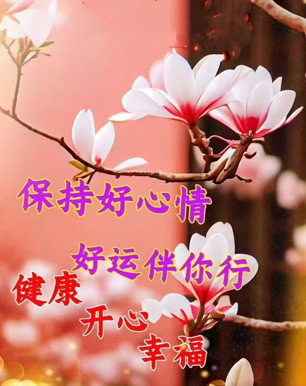 【健康养生】1）夏季吃桃子升糖慢。桃子含糖量较低（10%左右）。其升糖指数（GI