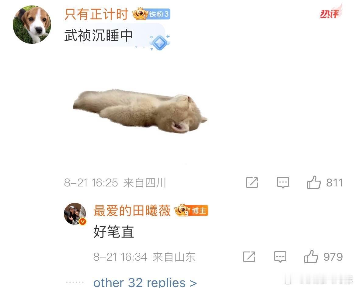 田曦薇评论区活人感好强[爱心][爱心][爱心]​​​