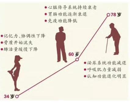 别以为衰老是慢慢熬的过程！其实身体藏着“衰老加速键”，这3个年龄段一到，衰