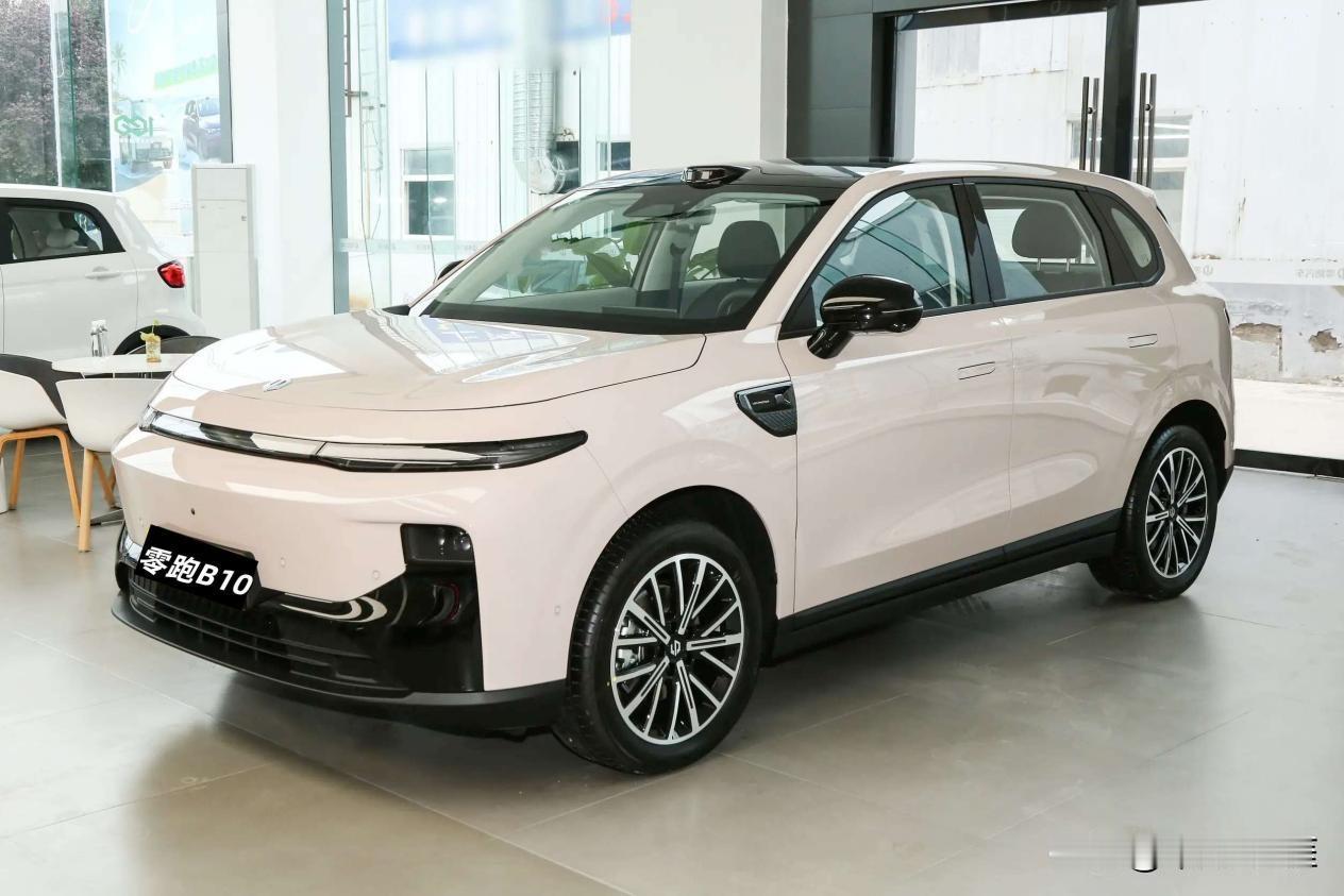 吉利星愿的预算，可以买到更好的纯电SUV，你愿意放弃吗？ 国内新能源市场竞争