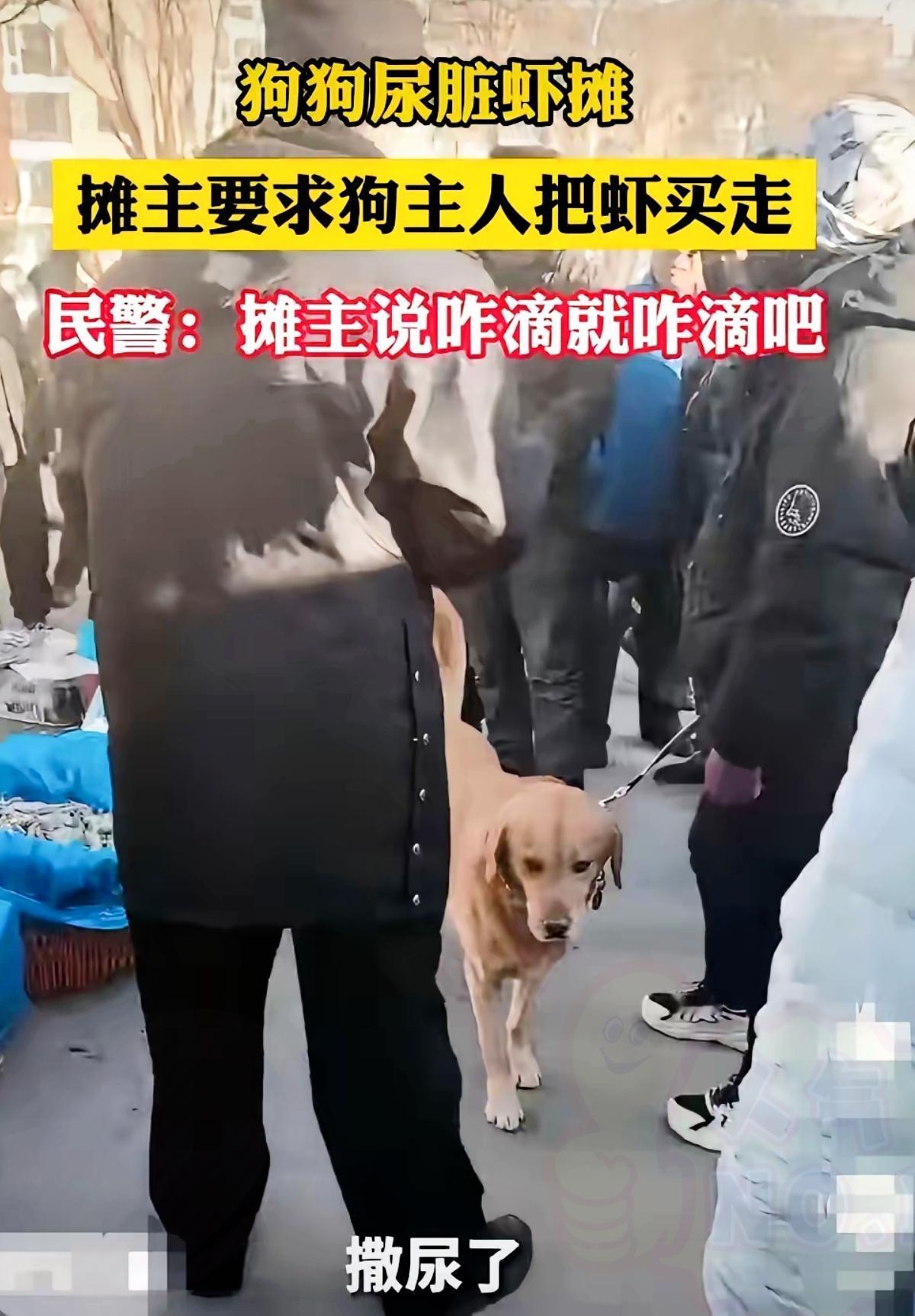 真的气人！遛狗遛到早市食品摊，狗尿滋了满筐虾还想耍赖，这哪是遛狗分明是缺德！摊主