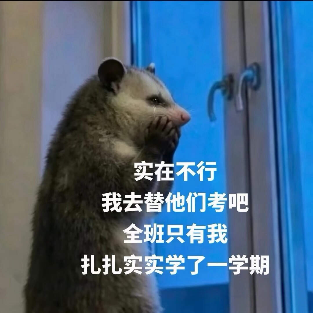 期末复习，不死也脱层皮