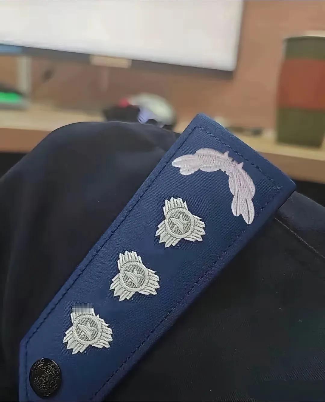 辅警一级警监和辅警总警监[捂脸哭]