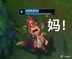 Wenbo赢了！好好调整bin大哥，哥几个先不等你回来了，队安勿忧咯~Wenbo