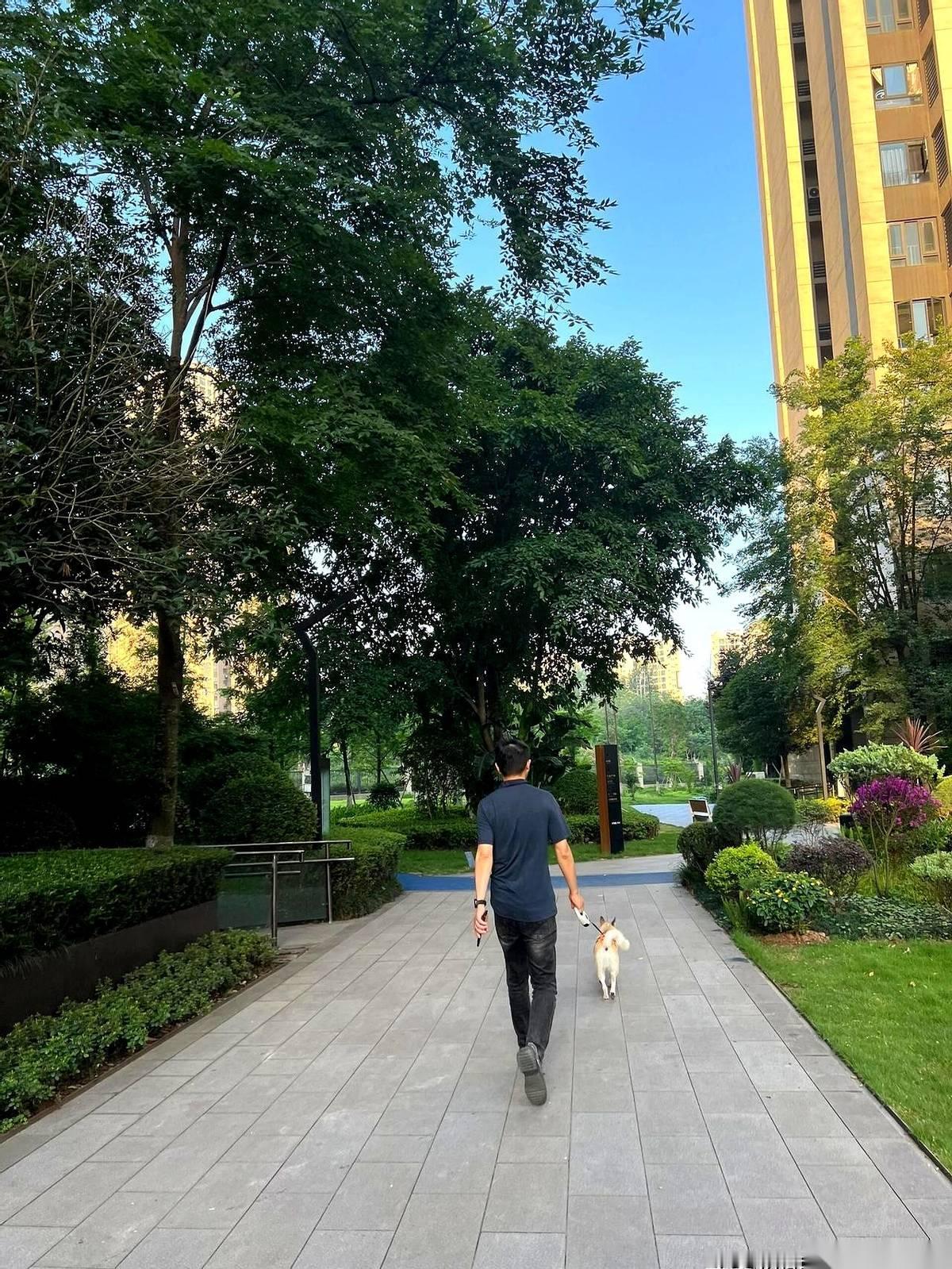 他一把甩开你的手，头也不回就走了。你以为他还恨你？傻姑娘，两年了，再大的气也