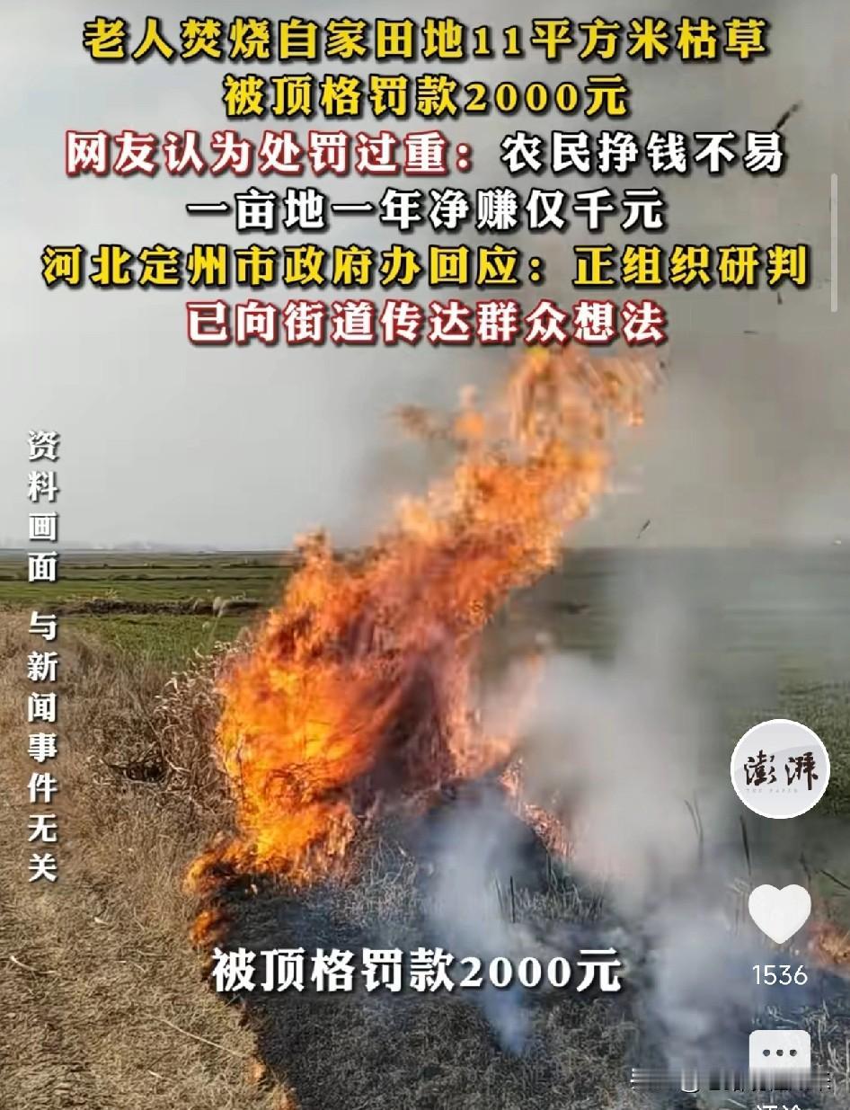 太冤了？河北，61岁老人烧自家田里11平方米枯草，被顶格罚款2000元这件事