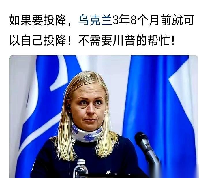 看到芬兰那个女外长怼特朗普,我真是一秒钟都没憋住,笑出了声。太绝了。人家原话