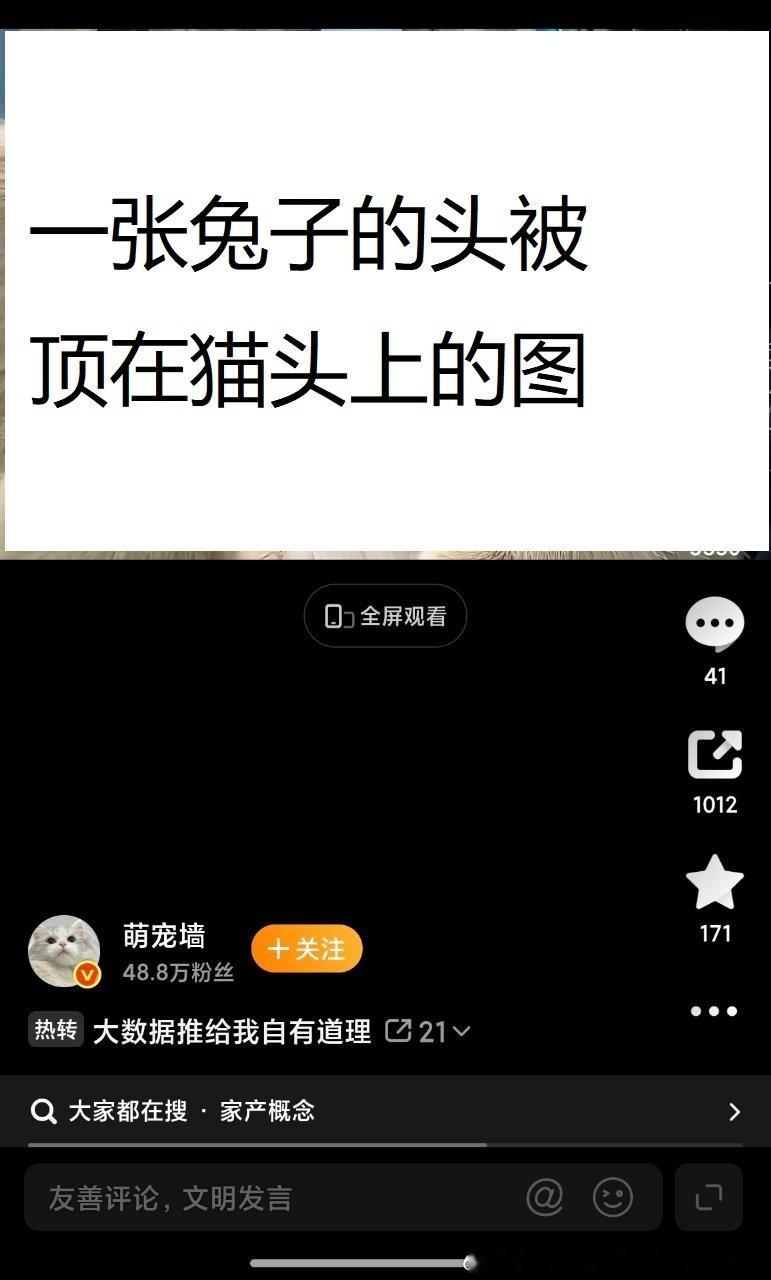 13713🐇【诡异】你们去看这个视频，感觉小兔像被人为怼在小猫边上……