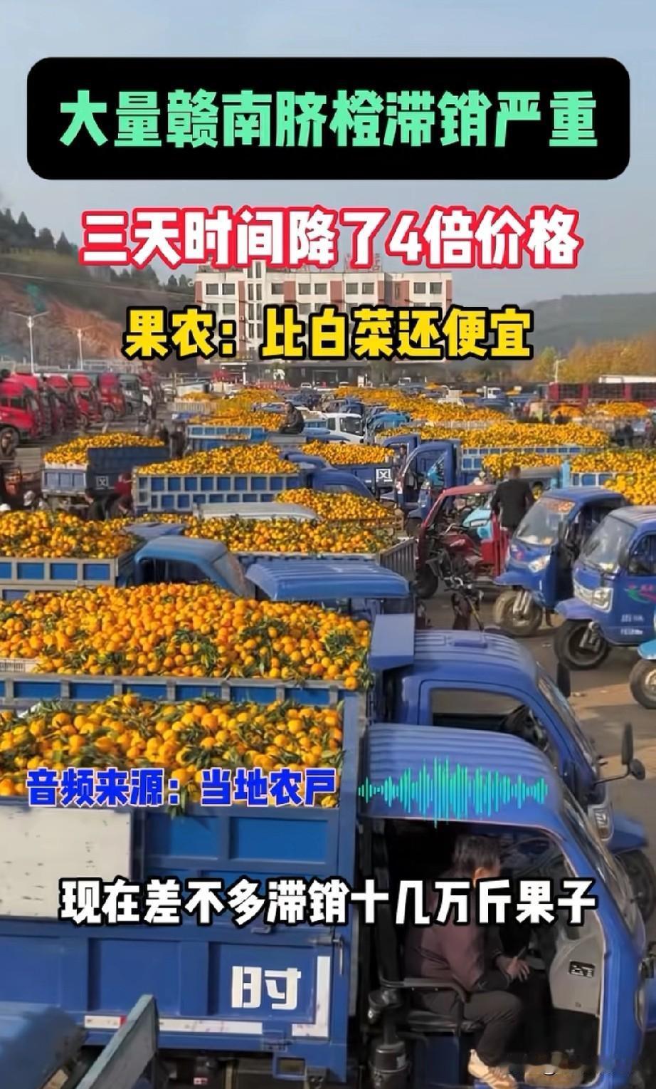 江西赣南脐橙遭遇销售寒冬，零售价堪比白菜价最近几年，水果市场也是风云变幻，很多