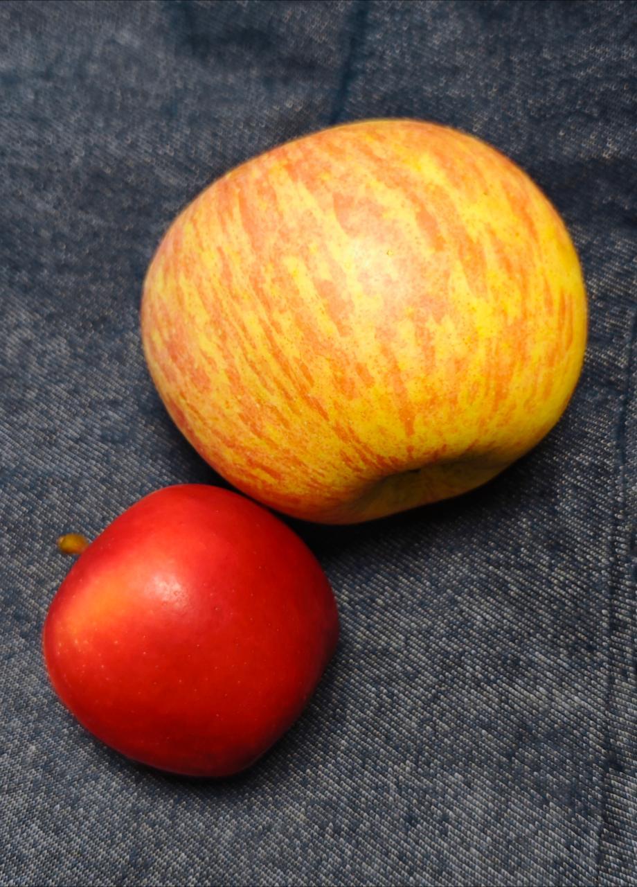 白雪公主当年也就吃的这种苹果🍎吧