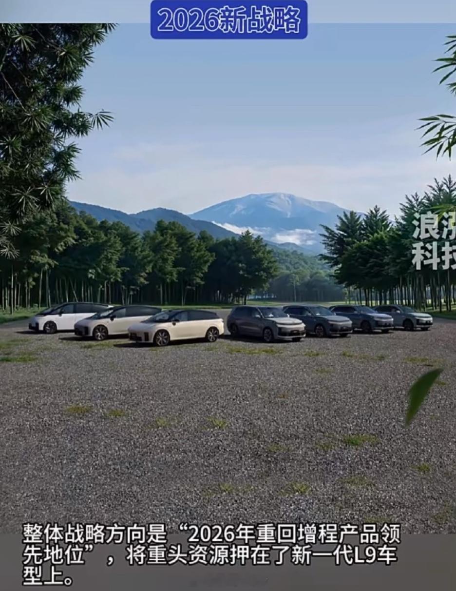 刚看了理想汽车在今年的新战略是以技术闭环，求市场突围，目标是销售55万辆并重回增