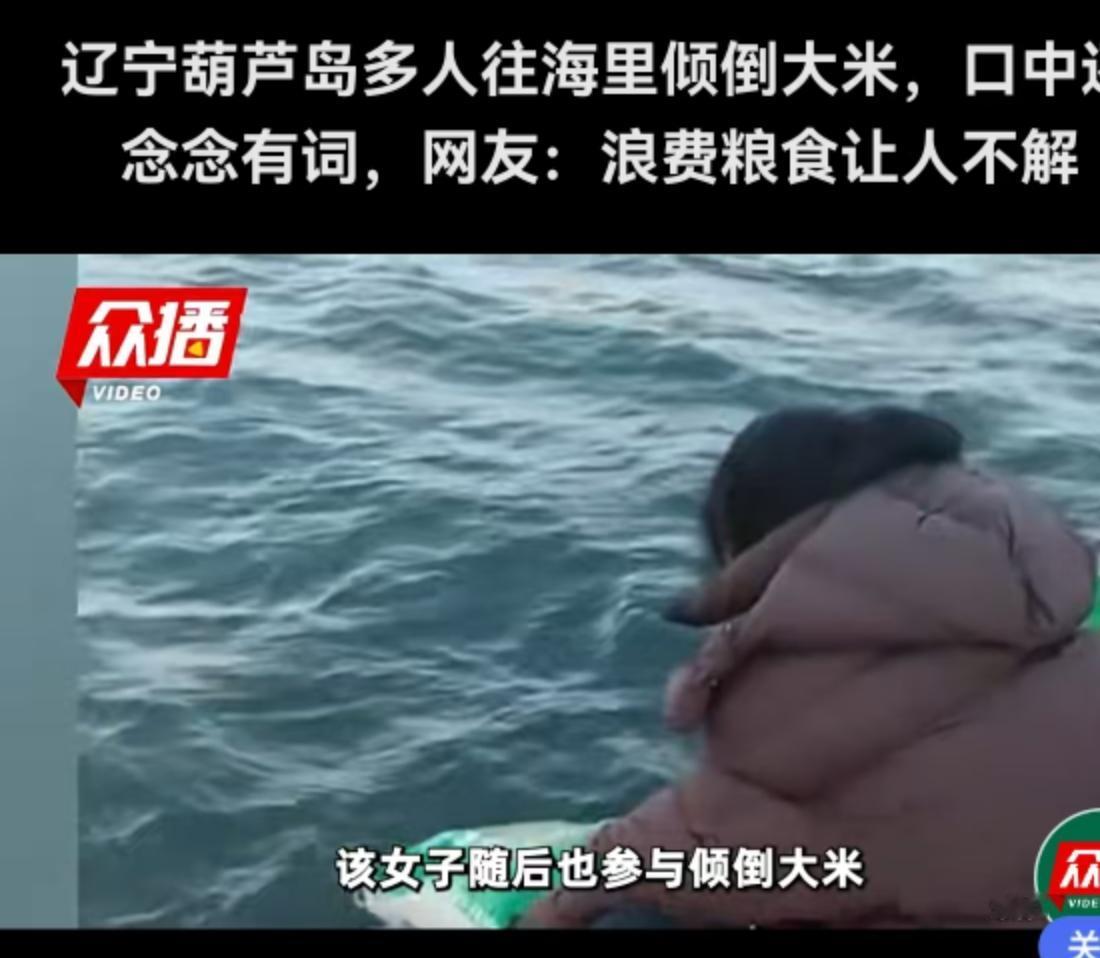 11月20日，辽宁葫芦岛的海边码头，上演了一幕让全国网友都看不懂的“奇景”。一群