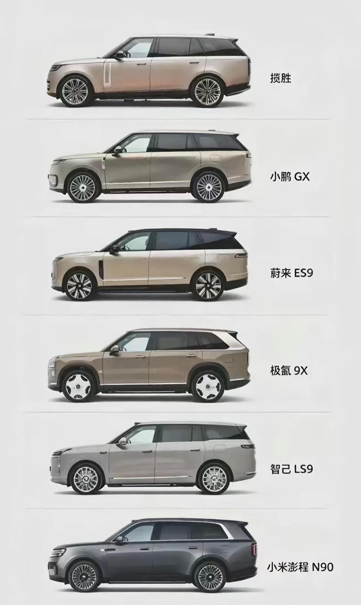 傻傻的分不清楚​​​
