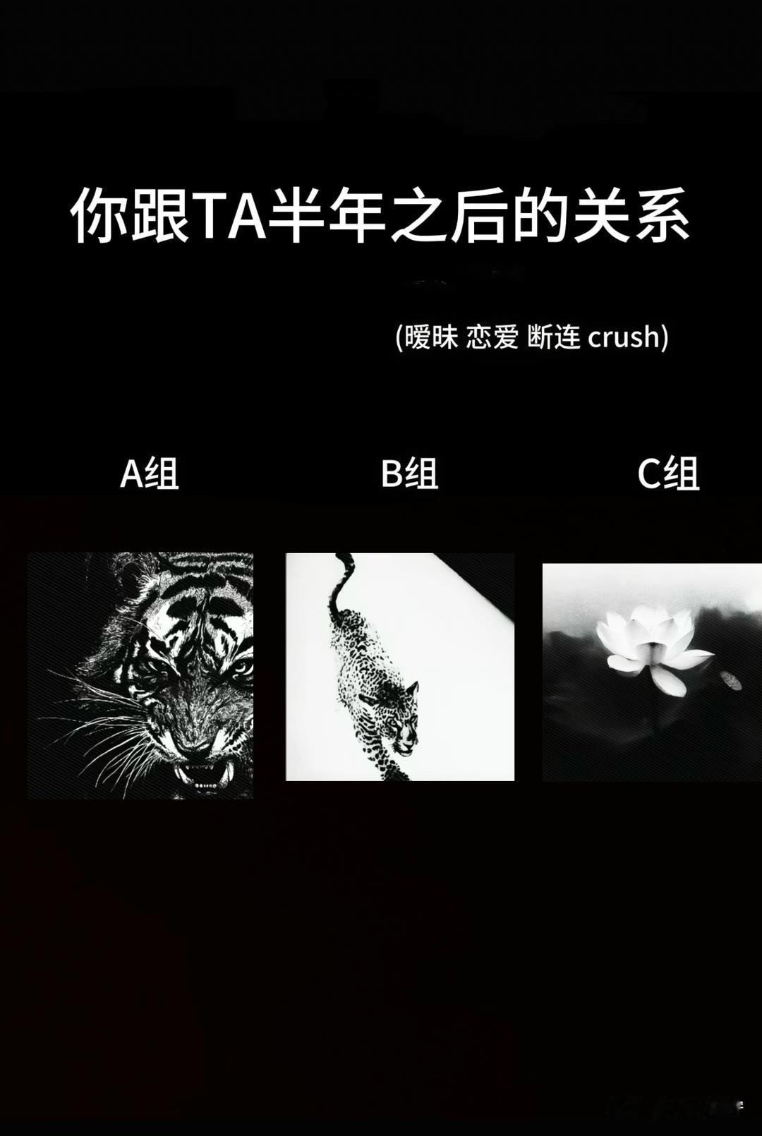 我的首张AI权益信用卡你跟TA半年之后的关系
