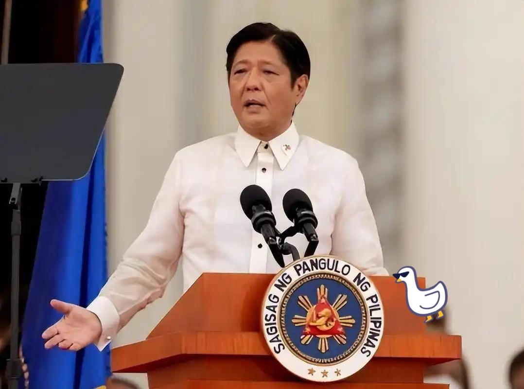 快讯！快讯！菲律宾全国进入灾难状态！11月4日，台风“海鸥”裹挟着每小时