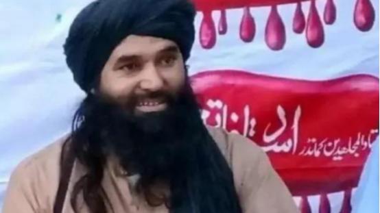 巴基斯坦媒体30日援引巴高级官员的讲话报道，今天早上，巴军在开普省巴焦尔县击毙了