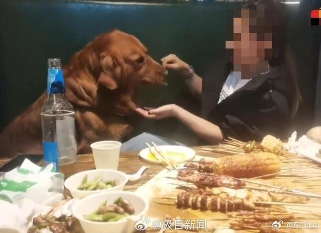 我发现了一个现象，那就是很多“宠物友好型”的场所，都在渐渐收紧。不是说对宠物不在
