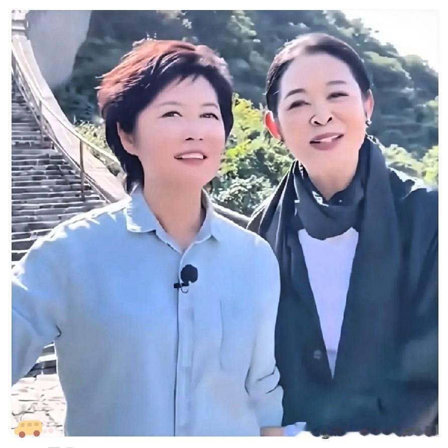 敬一丹的告别仪式上。白岩松、杨澜没出席，可以理解，可倪萍和敬一丹相交整整35年