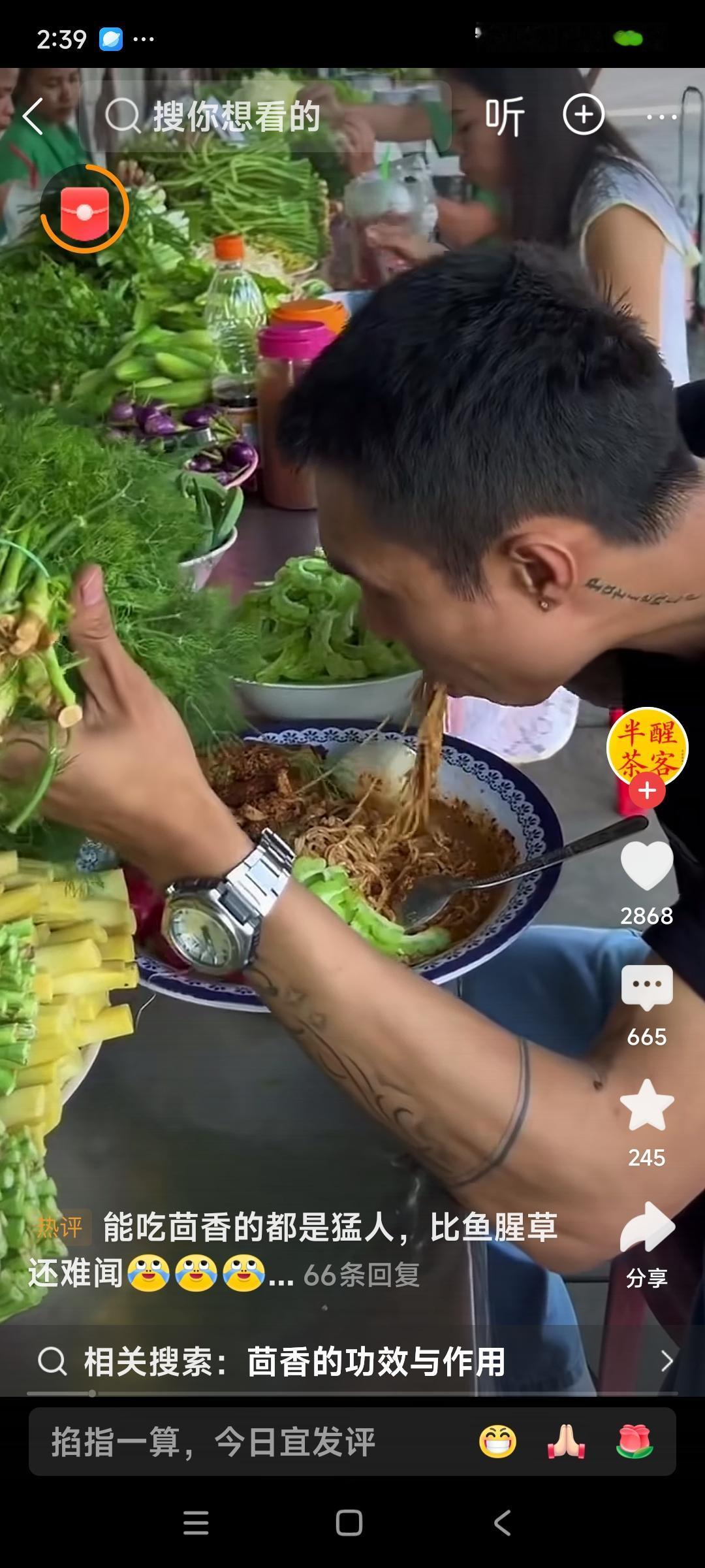 泰国看着像卖菜，实际也是吃饭。网友说：能吃茴香的人都是生猛的人，比鱼腥草还难闻。