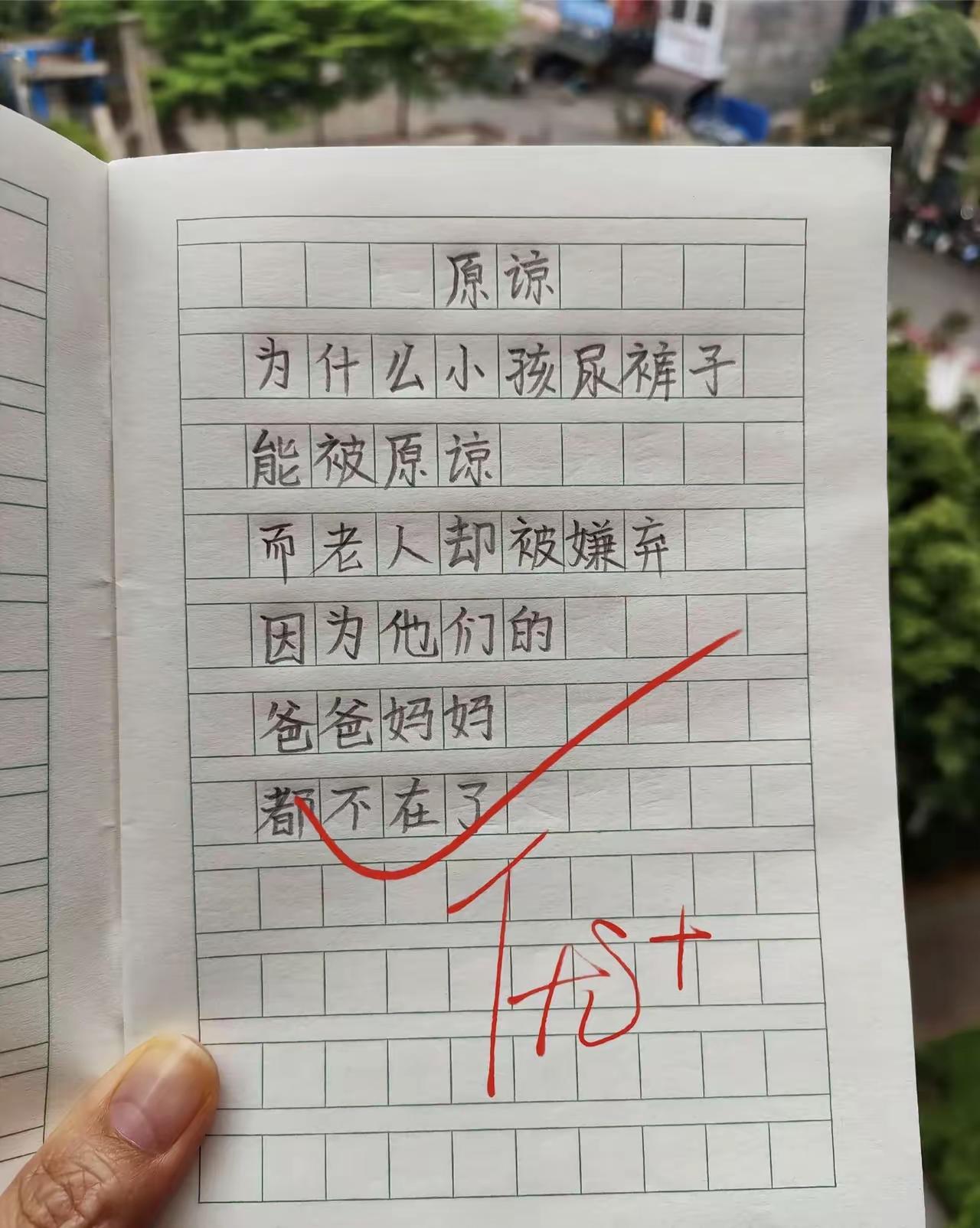 些许伤感的作文