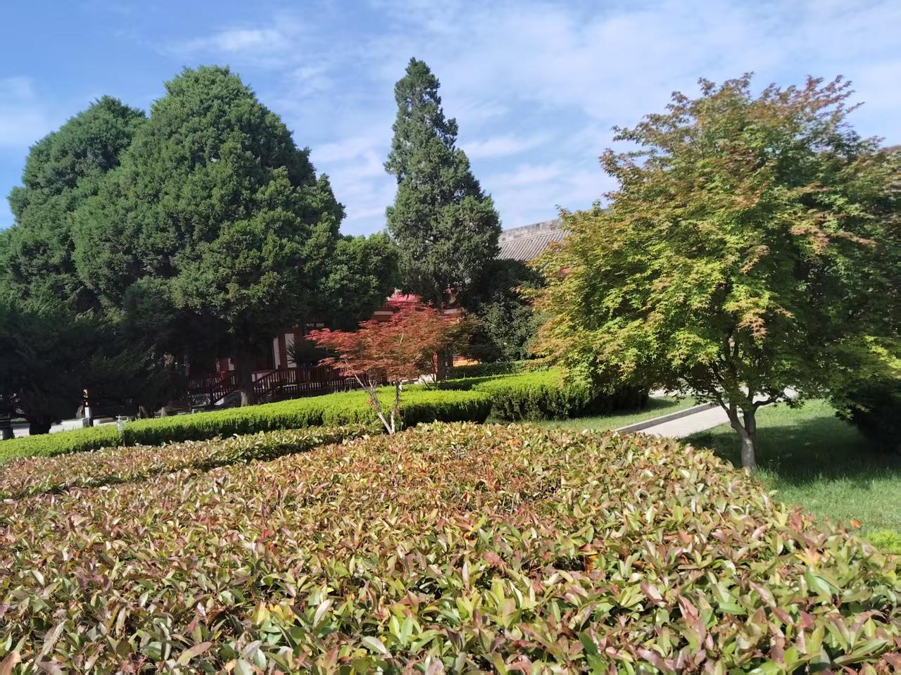 阿三:老秃鹫，听说你家卖给湾湾的武器装备被东方龙给拦下了？鹰酱: