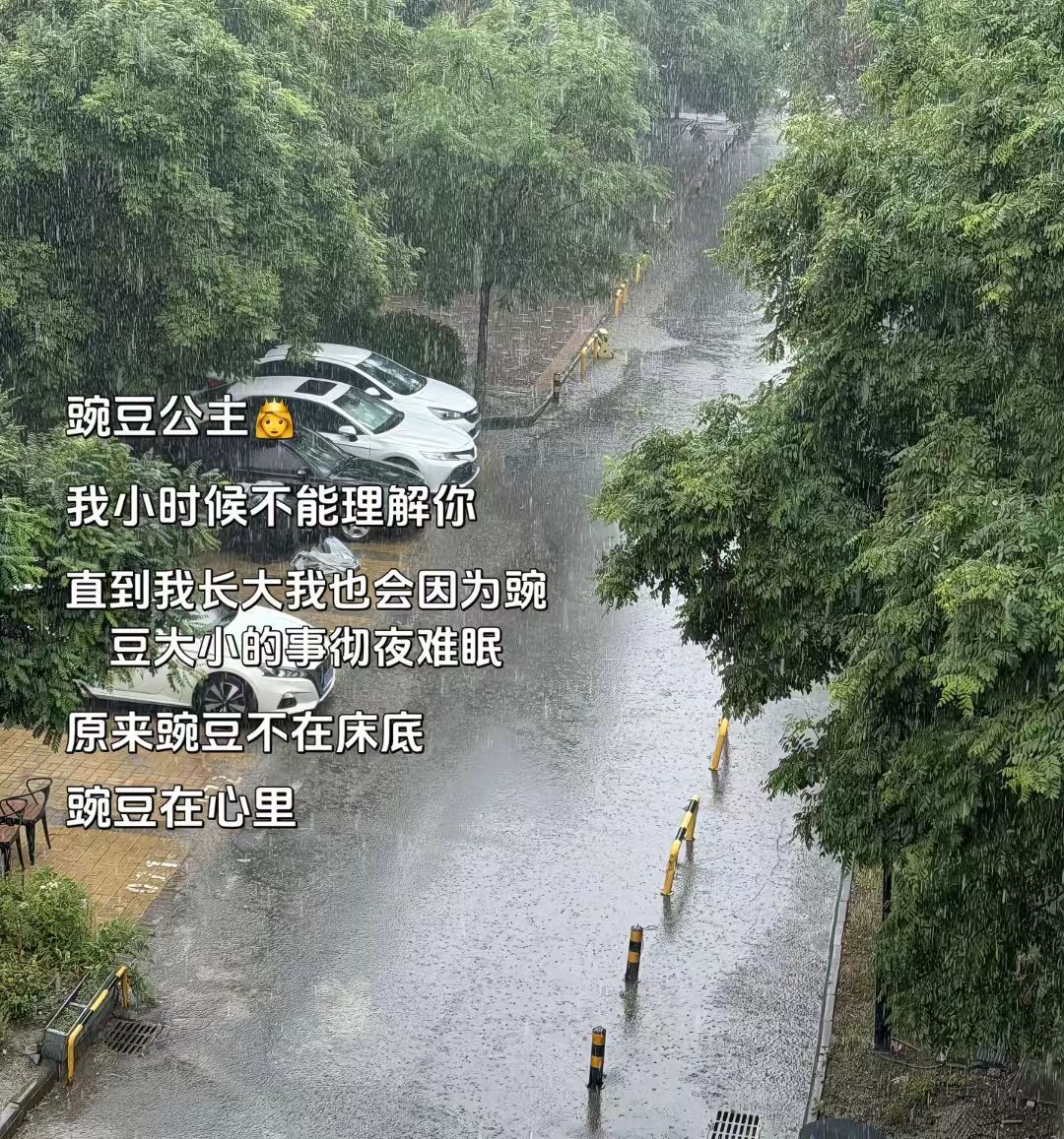豌豆公主我终于理解你了，直到我长大我也会因为豌豆大小的事彻夜难眠