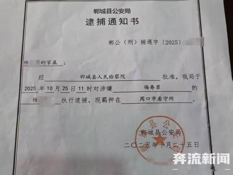 河南一女子插足他人婚姻被打，打人原配八年内两次被逮捕八年前，出轨丈夫在赔偿对