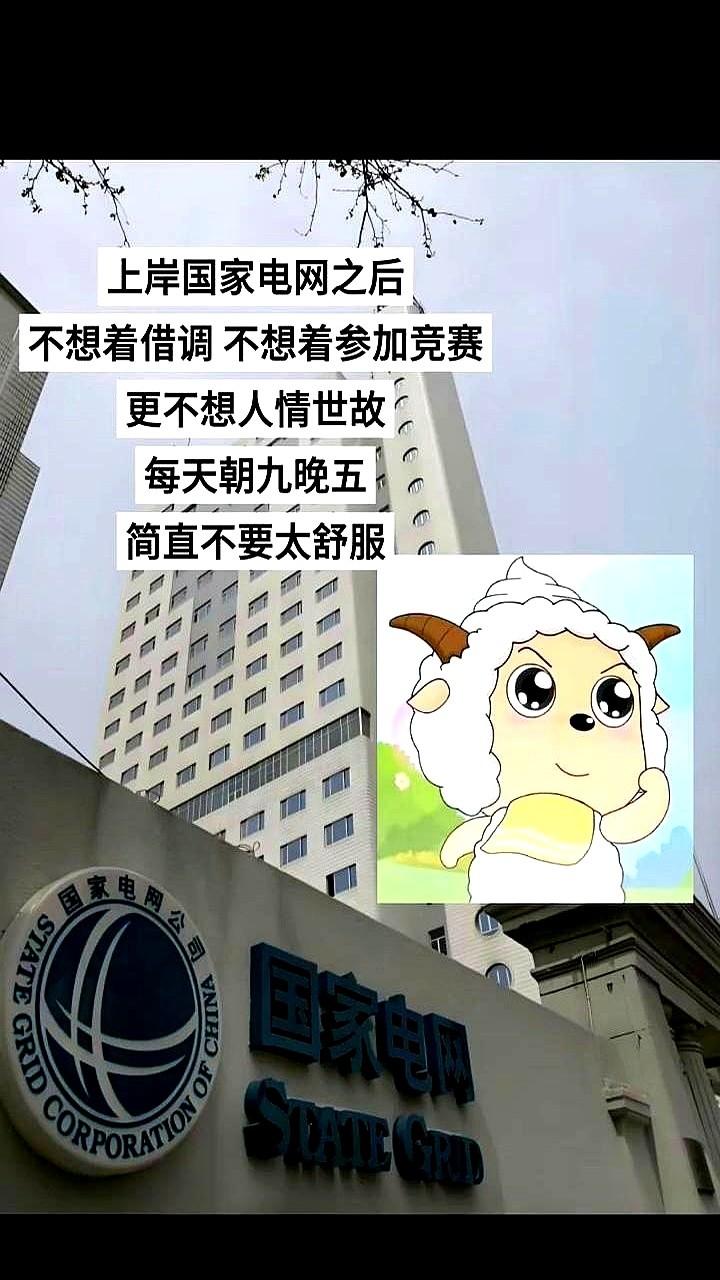 不想卷又怕穷，看电网新人怎么活新人小张每天五点下班，工资照拿，公积金顶格，同