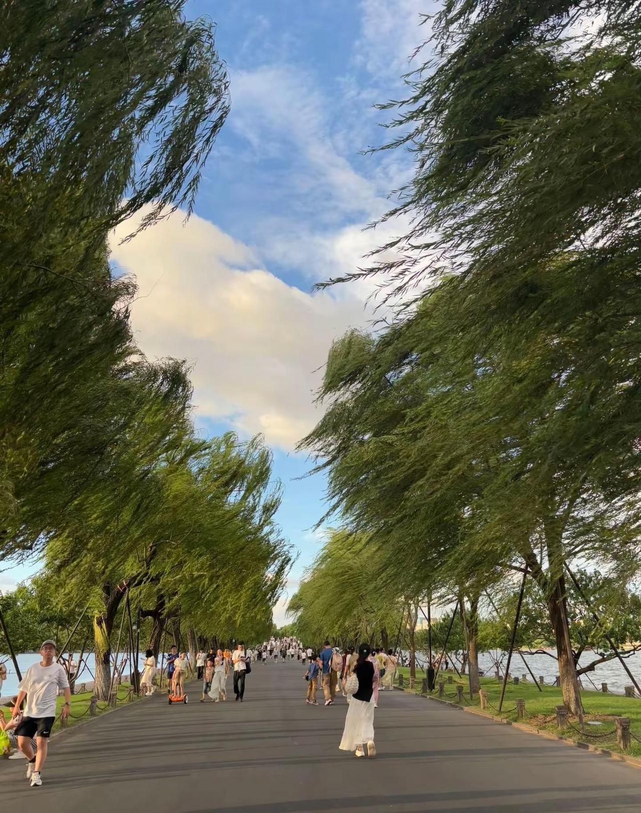 地球online提醒您，请勿在npc身上浪费太多时间，避免影响玩家自身
