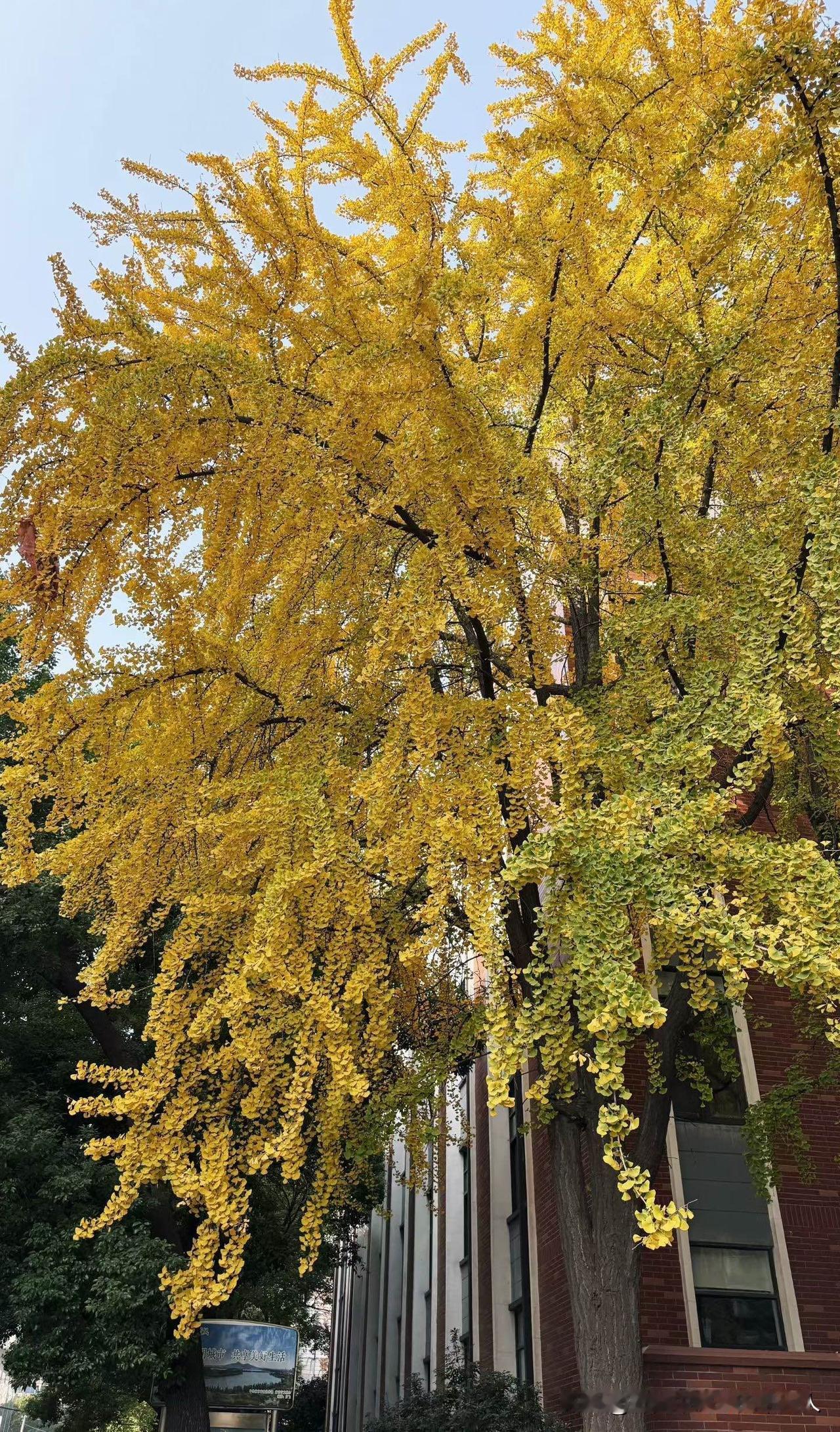 大家记住了不管关系多好，闺蜜、朋友、同事，都尽量别往自己家里带！这真的不是小气