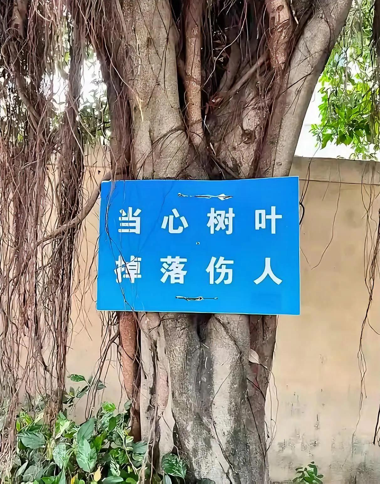 笑不活了！南方最“硬核”警示牌，北方人看完直接懵圈谁懂啊！看到个最没警示力