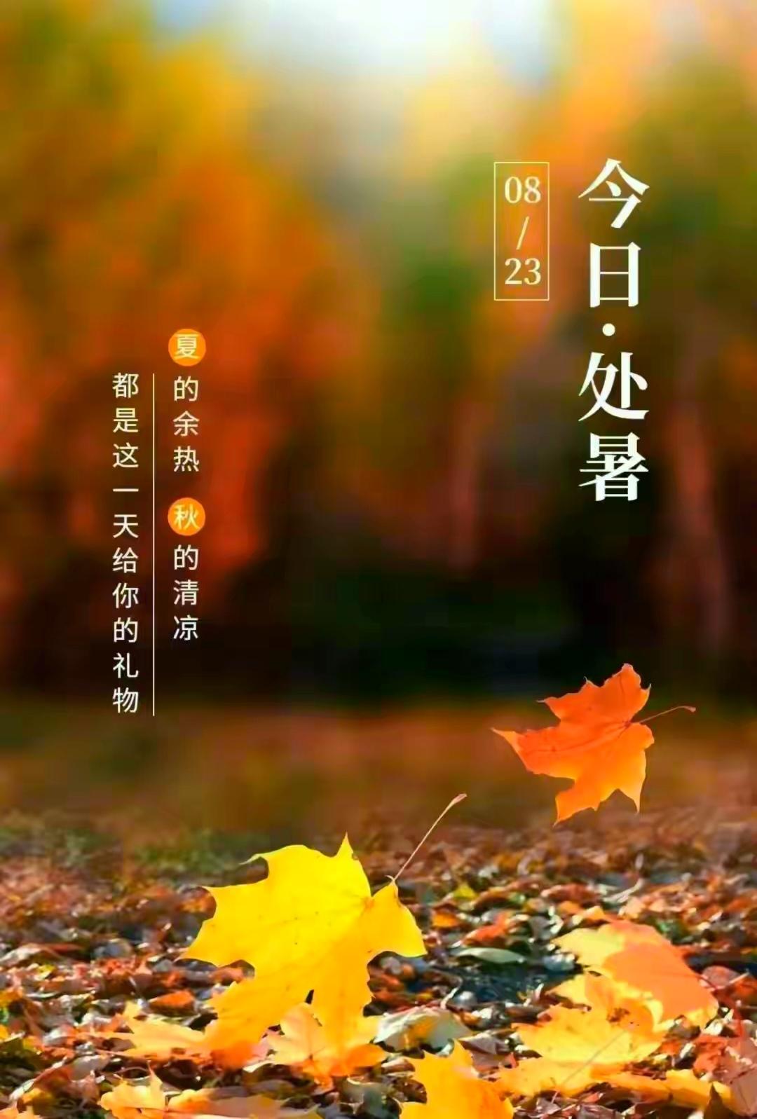 处暑早安🌿离离暑云消散，袅袅凉风拂起，夏意悄然落幕，浅秋缓缓登场。愿晨起有风相