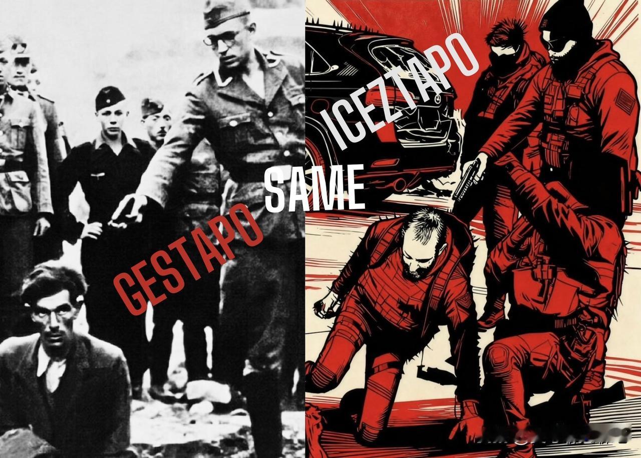 这张照片记录了美国移民及海关执法局（ICE）十分凶狠的一面，照片的重要性很难从公