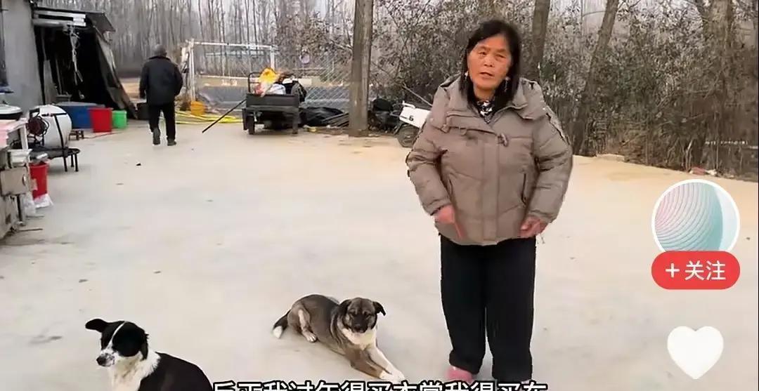 零下5℃逼70岁父亲打工阿杜妈要金镯子，要棚三轮，说春节没面子。全家反对，