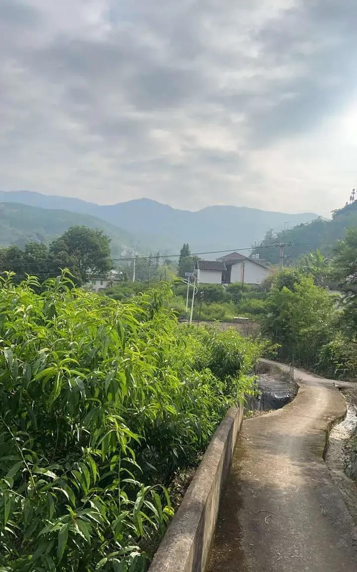 辛勤的农民们将各类农作物种子播撒于地里，只待金秋时节收获累累成果。