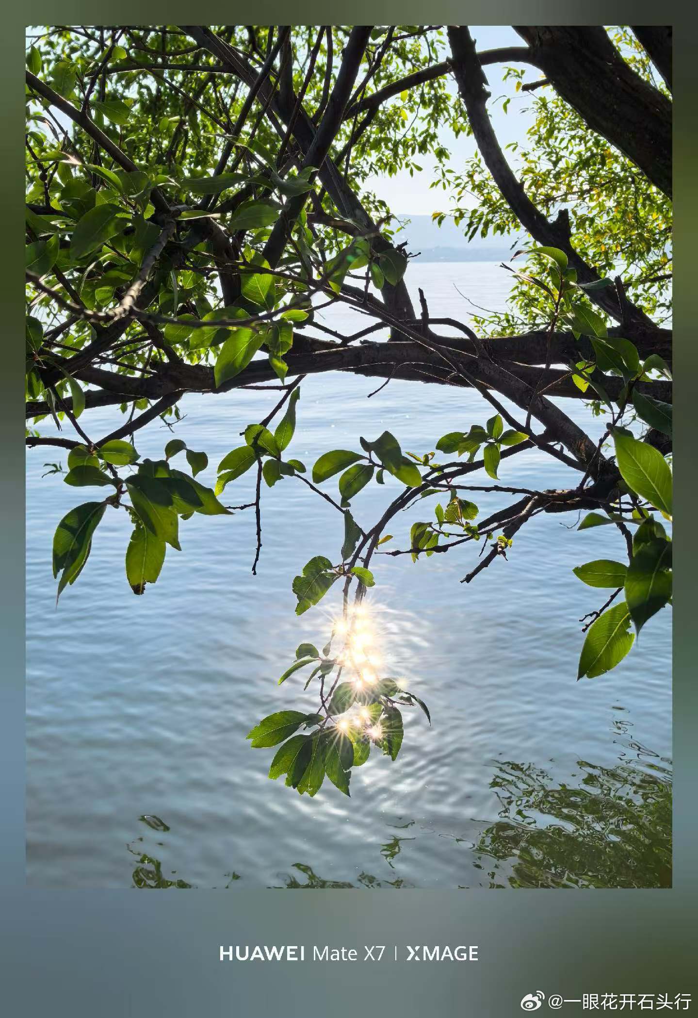 十年树木，百年树人的叙事背后是慢变量的力量人间修光种树这个事儿不是一道简单的加法