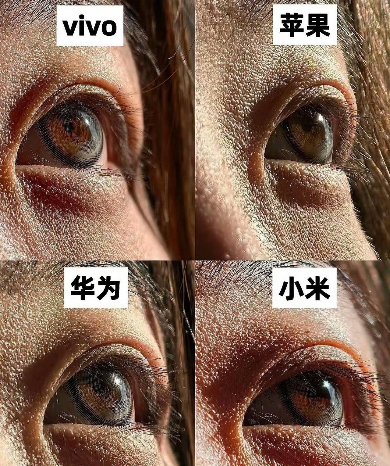 四家影像旗舰的直出特写对比，就观感和细节而言，我个人觉得小米排第一，vivo排第