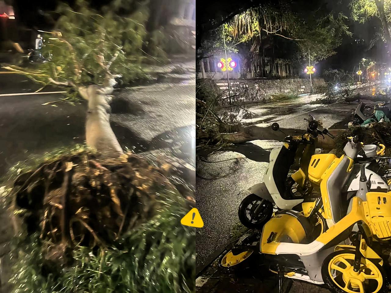 台风麦德姆可太猛了！上半夜刚过北海，本以为下半夜能安稳睡个好觉，哪知道它余劲儿