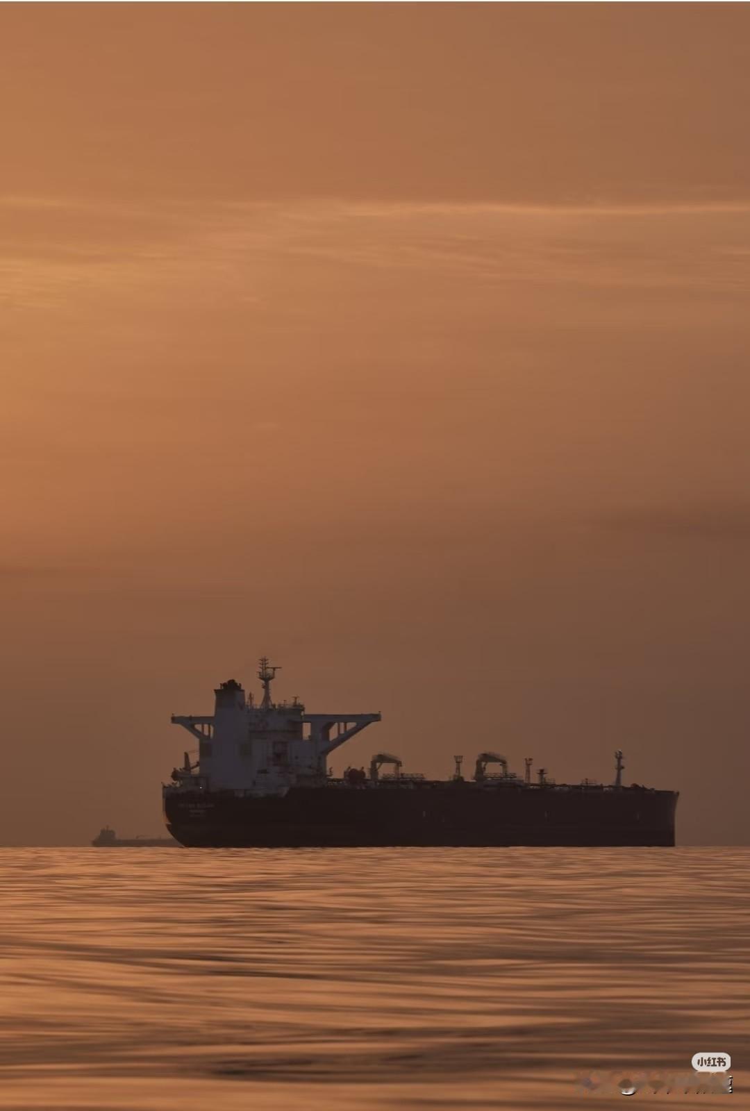 打又打不赢，停又停不了，这就是大漂亮现在面对的。对面大哥不让波斯输。小蚂蚁又不想